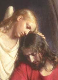 jesus comforted